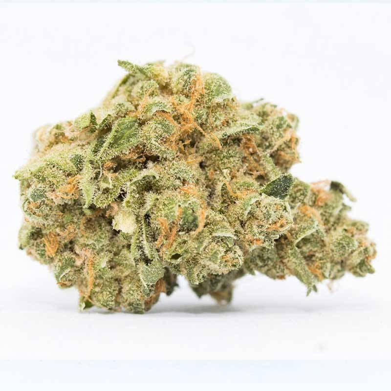 cogollo flor de CBD Premium New York-Sour Diesel 2g Cannactiva