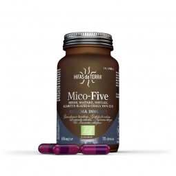 Mico Five Chaga+Vitamina C Bio 70 capsulas Hifas da terra