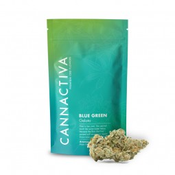 Flor de CBD Premium Blue Green-Gelato 2g Cannactiva