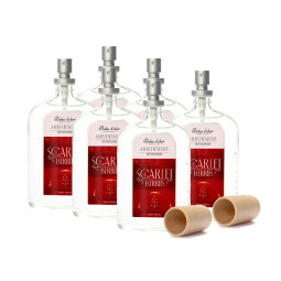 Ambientador Spray Scarlet Berries 6x100ml Boles D'olor