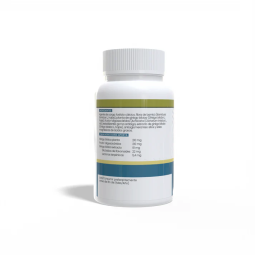 Ginkgo biloba 700mg 100 comprimidos Sotya 2