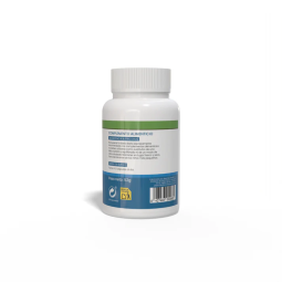Jengibre 430mg 120 capsulas Sotya 2