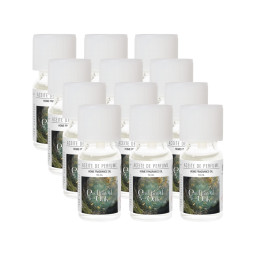 Aceite Perfume concentrado Enchanted Oak 12x10ml Boles d'olor