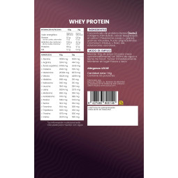 Proteina Whey de suero de leche chocolate Doypack 1 kg Sotya