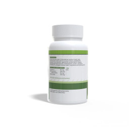 Reishi 500mg 90 capsulas Sotya