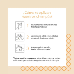 Champu Silver Nº3 250ml Nuggela & Sulé