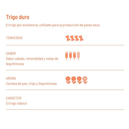 Espaguetti de trigo Bio 500g Girolomoni
