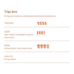Fusilli de trigo Bio 500g Girolomoni