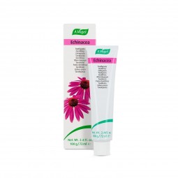 Pasta dental Echinacea Dentaforce 100g A.Vogel