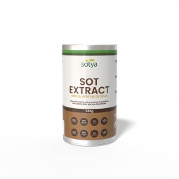 SOT EXTRACT Bebida de soja en polvo 550g Sotya