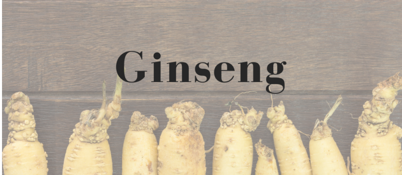 Tipos de Ginseng : Energía y vitalidad