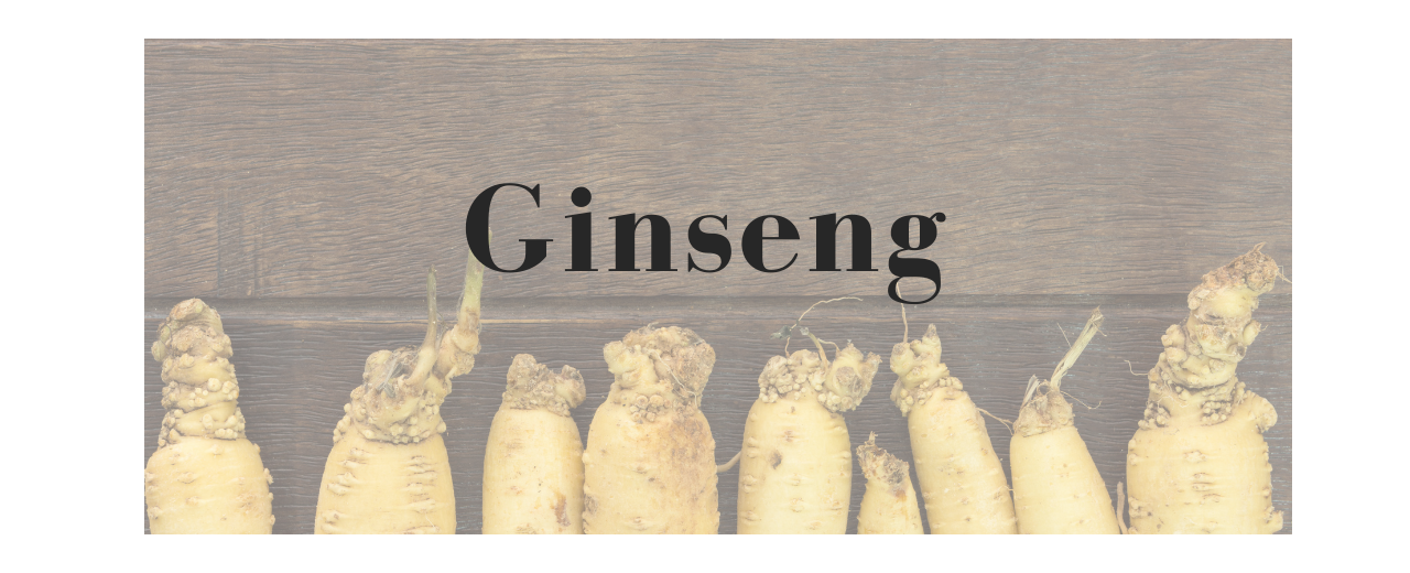 Tipos de Ginseng : Energía y vitalidad