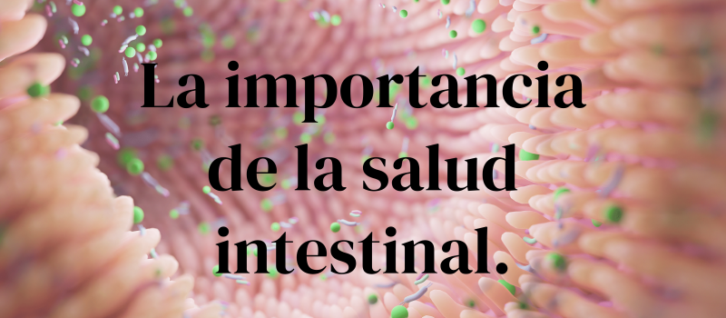 La importancia de la salud intestinal.