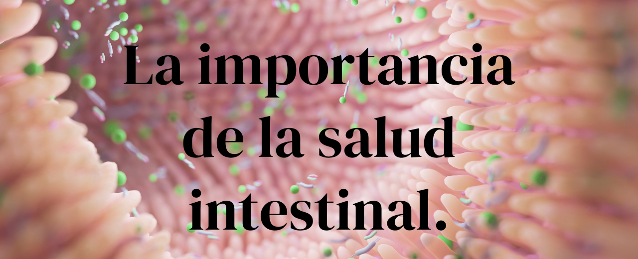 La importancia de la salud intestinal.