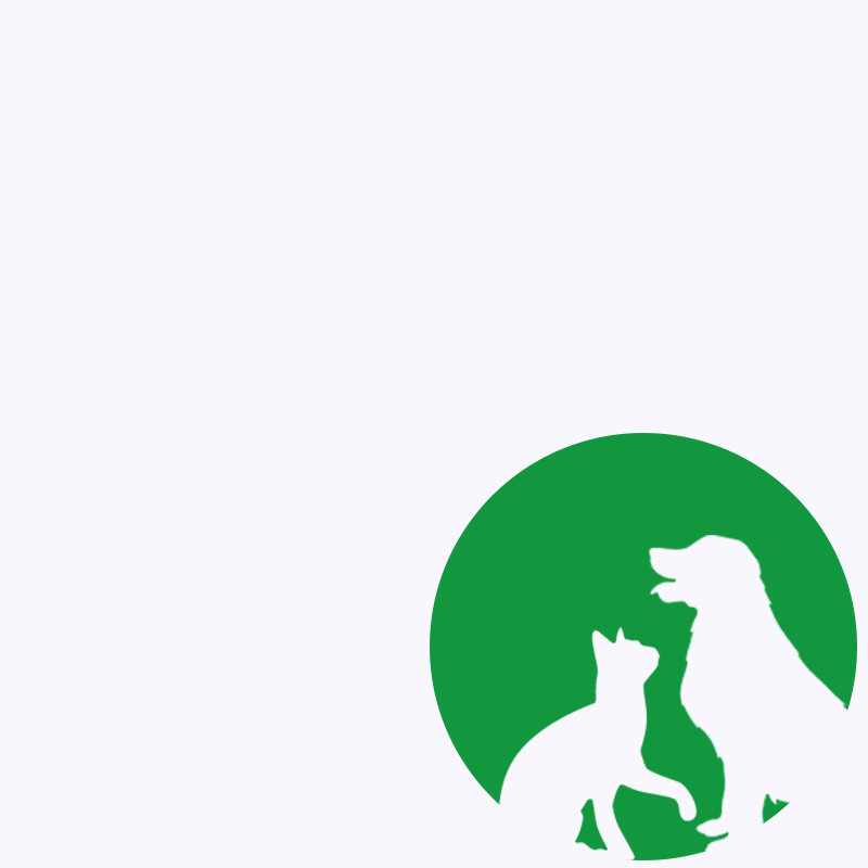 Mascotas/Pets