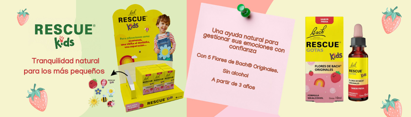 Banner Rescue Kids Bach