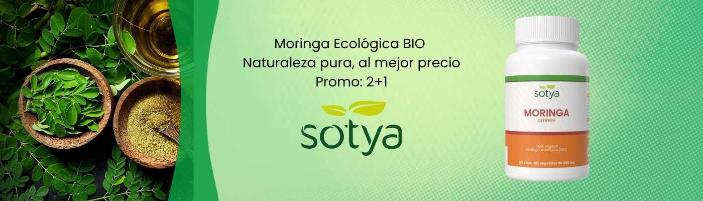 Banner Moringa Sotya