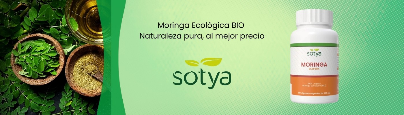 Banner Moringa Sotya